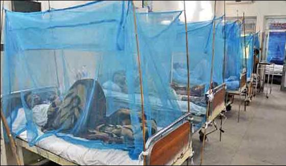 Over 800 Hundred People Affected By Dengue In Peshawar