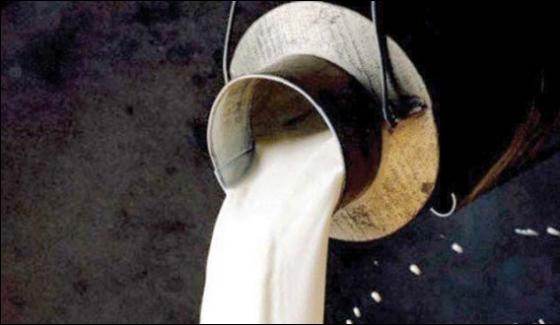 Peshawar 10 Thousand Litre Of Harmful Milk Dosposed Of