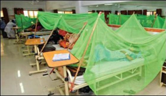 Peshawar Dengue Diagnosed In More 75 Patients