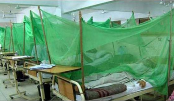 More Than 900 People Suffered From Dengue In Peshawar