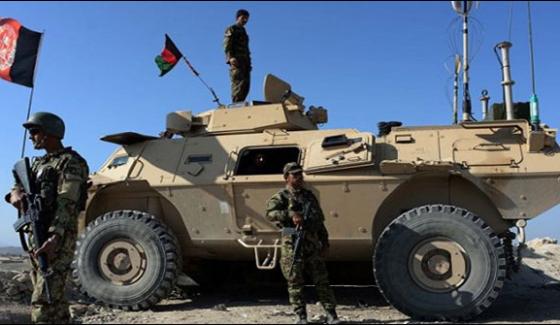 Afghan Forces Operation 23 Taliban Killed