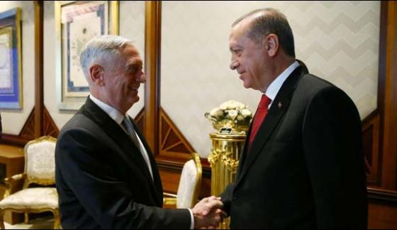James Mattis Meets Erdogan In Ankara