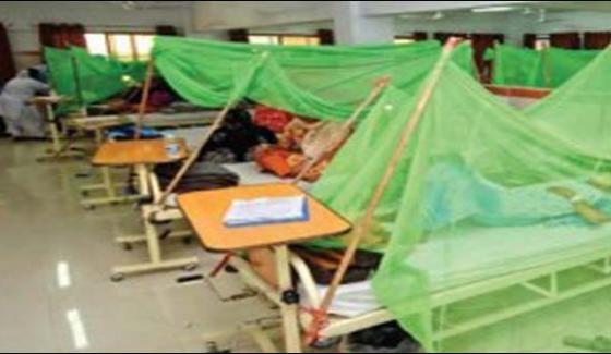 Khyber Agency 24 People Confirmed With Dengue Virus