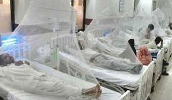 Healthdengue Virus Confirm In Faisalabadbhawalpur Thar
