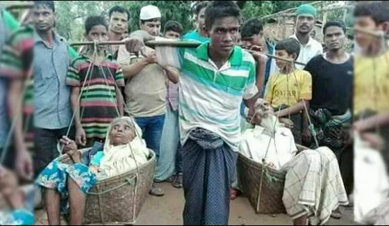 Rohingya Muslim Young Man Saved His Parents From The Violence In Myanmar