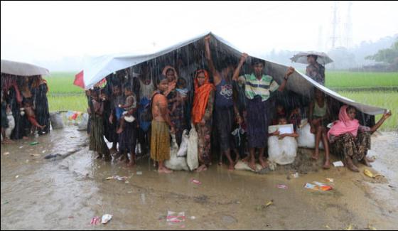 Rohingya Muslims Rejected Allegation Of Burning Their Home