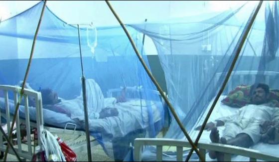 Khyber Pakhtunkhwa 355 People Confirmed With Dengue Virus