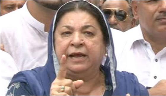 Pti Move To Court Against Election Commission Yasmeen Rashid