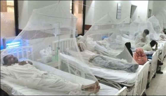 More 242 Dengue Patients Counted In Kp