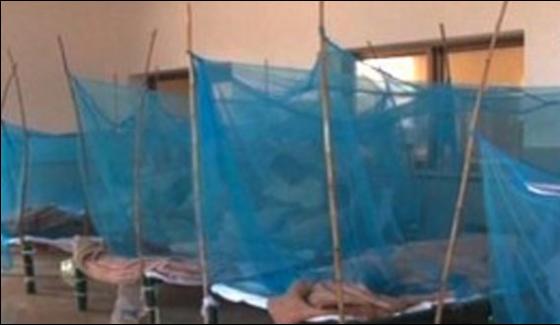 More 303 Dengue Patients Hospitalized In Kp