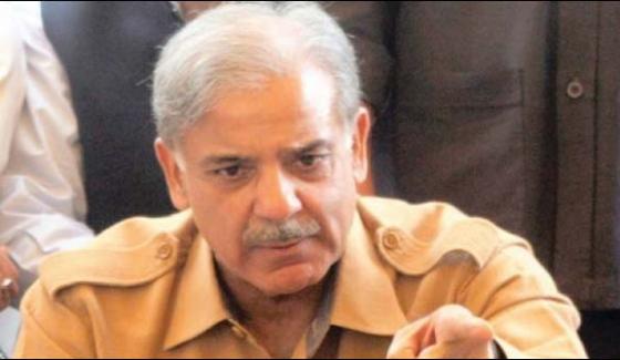 Shahbaz Sharif On Loyalty With Brother