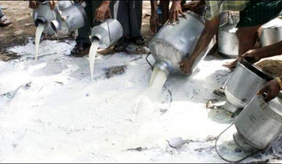 1240 Litre Of Milk Has Been Discarded In Lahore