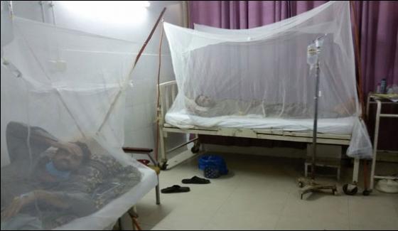 Another Dengue Patient Dies In Kp