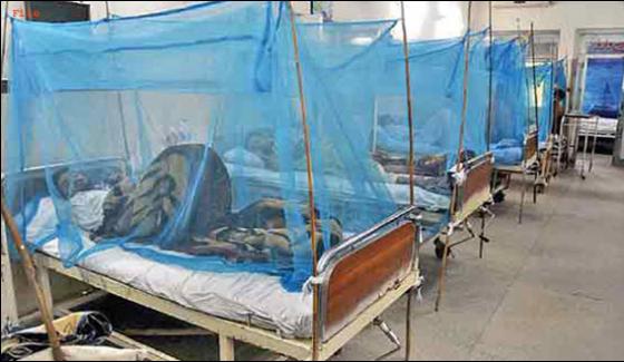 Two More Died Of Dengue In Peshawar