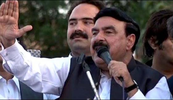 Establishment Is With Nawaz Sharif Sheikh Rasheed