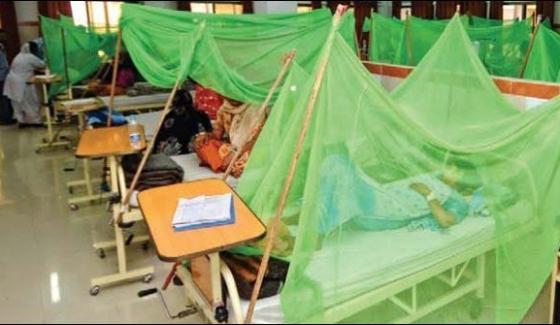 Lahore The Number Of Dengue Patients Reaches To 512