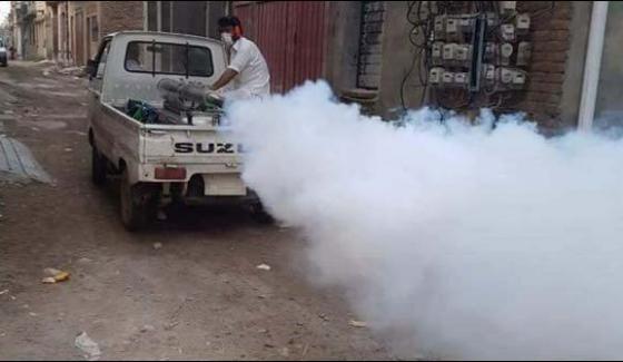 The Last Phase Of Anti Dengue Campaign In Peshawar