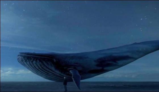 Lahore Three Arrested On Playing Blue Whale Game