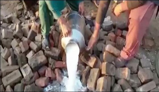 Pfa Disposed Of Harmful Milk In Punjab
