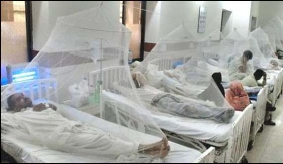 2 More Affected By Dengue In Khyber Pakhtunkha Have Been Died