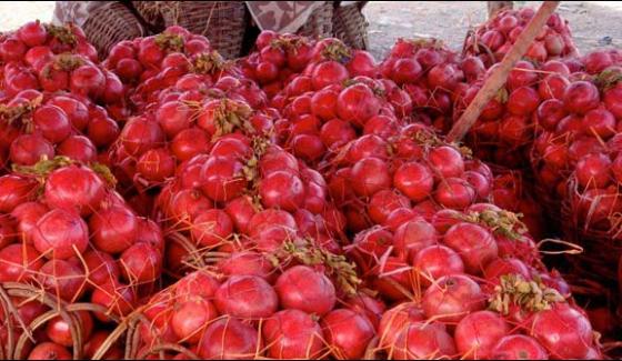 Regular Duty Temporary Import Of Fruits From Afghanistan