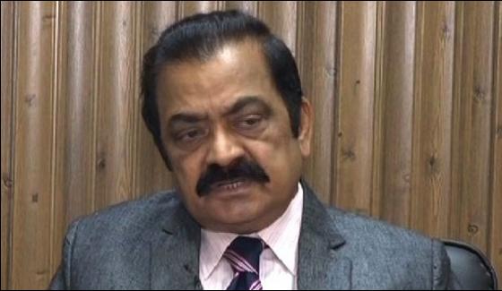 News Of Conflicts In Pmln Is Baseless Rana Sana