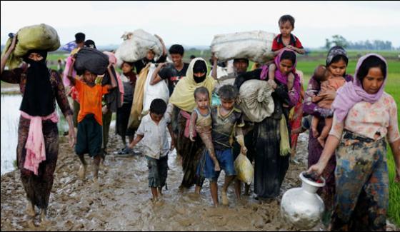 Around Six Hundred Thousand Rohingya Refugees Reached Bangladesh Un