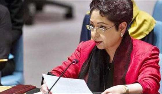 Peace Efforts In The World Should Be Started From The Middle East Maleeha Lodhi