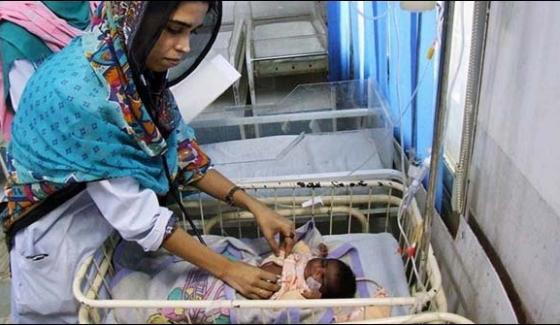 More Than 2 Children Died In Thar Number 11
