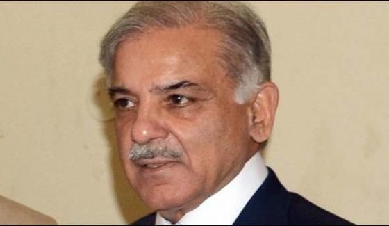 New Examples Of Public Service Have Been Established Shahbaz Sharif
