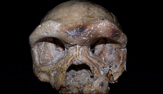 Ancient Skull Found In China Rewrites Human History