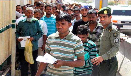 20 Of Illegal Pakistani Immigrants Are Return From Saudi Arabia
