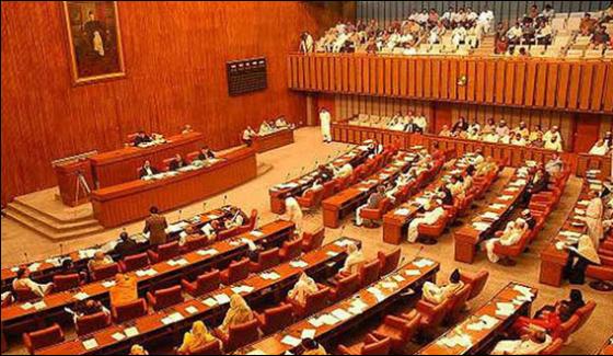 New Circle Bills Could Not Be Submitted In The Senate