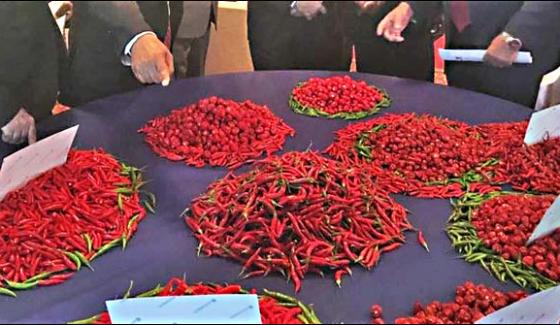 Convention To Cope With Challenges In Chili Production