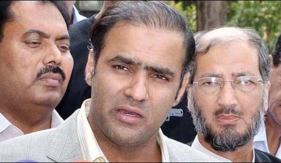 Ppp Does Not Understand Democracy Now Abid Sher Ali