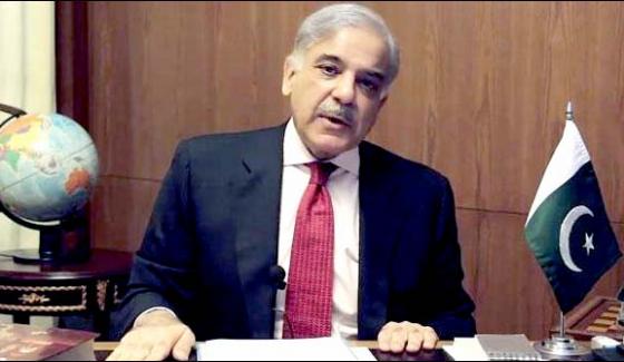 Nation Is Not Going Ahead With Discord And Differencesshahbaz Sharif