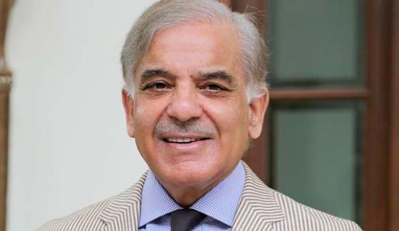 The Pml N Is The Party Of Democratic Traditions Shahbaz Sharif