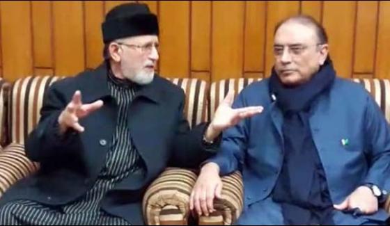 Why Did Zardari Meet Tahir Ul Qadri