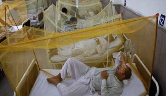 Mostly Dengue Fever Cases Came From Khyber Pakhtunkhwa Who