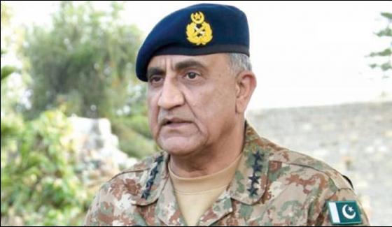 We Look Palestine Issue As Kashmir Issue Army Chief