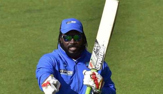 T20 Cricket Chris Gayle Many Records On His Name