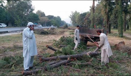 Islamabad Citizens United Against The Harvesting Of Trees