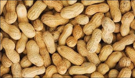 Peanuts Dry Fruits Of Middle Class