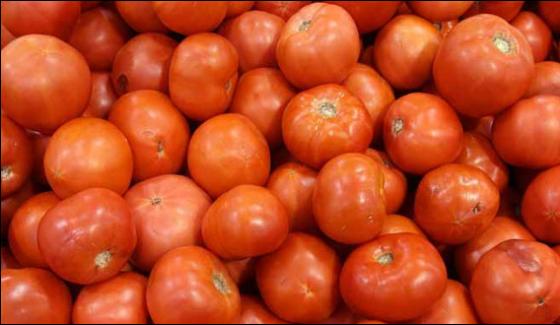 Use Of Tomatoes Increase The Age Of Lungs Research
