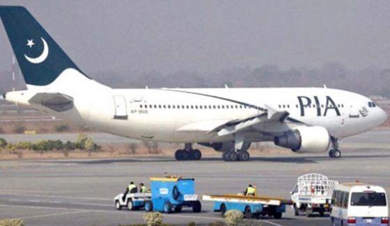 Flight Stopped At Karachi Airport After Presence Of Cat