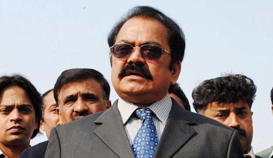 Rana Sana Agree Saad Rafique Comments