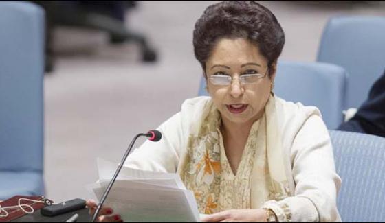 Us Should Stop Blaming Others For Its Mistakes Lodhi