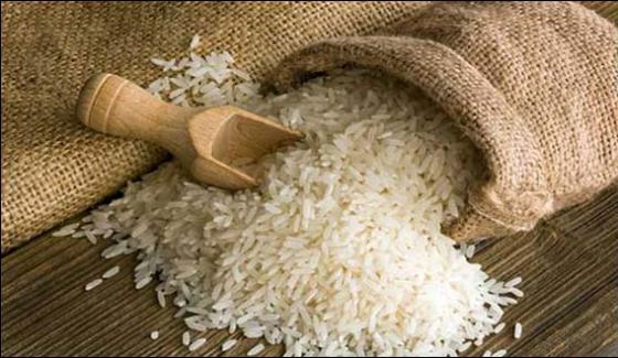 Rice Exports Increase By 11pc