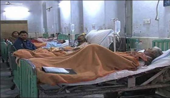 Swine Flu Takes 3 More Lives In Multan And Ryk