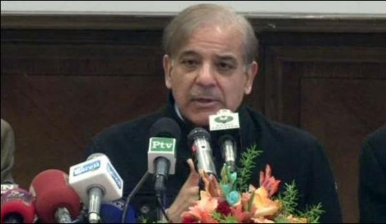Nab Summons Based On Ill Intentions Says Shehbaz